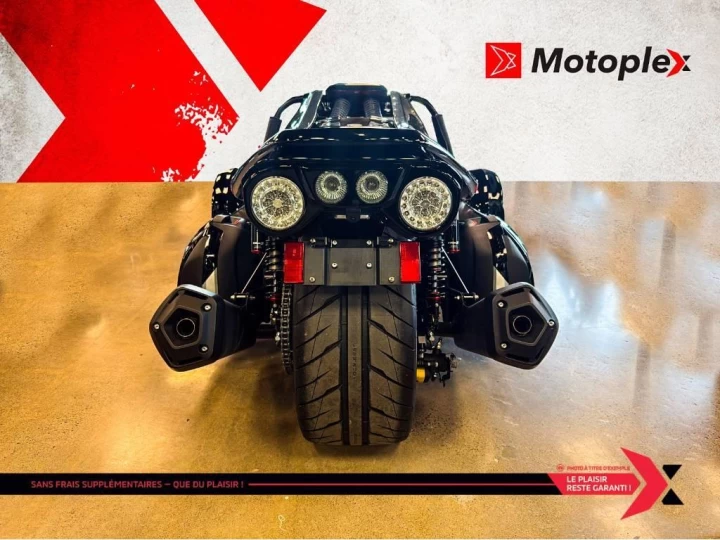 2025 campagna T-Rex 