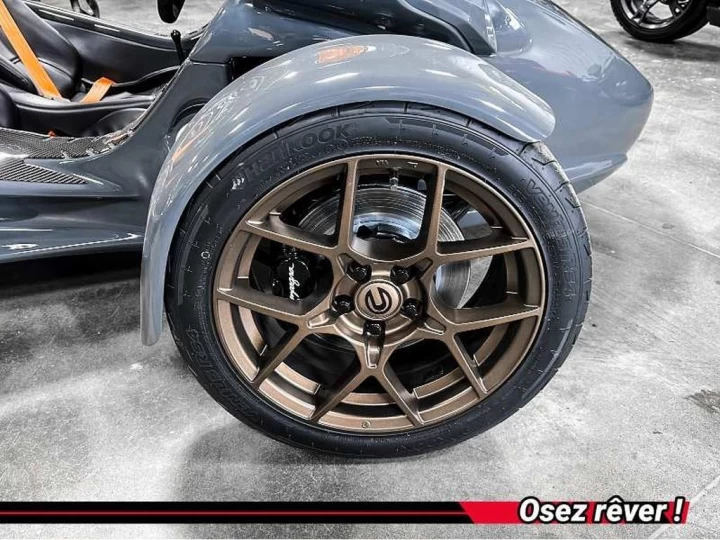 2025 campagna T-Rex 