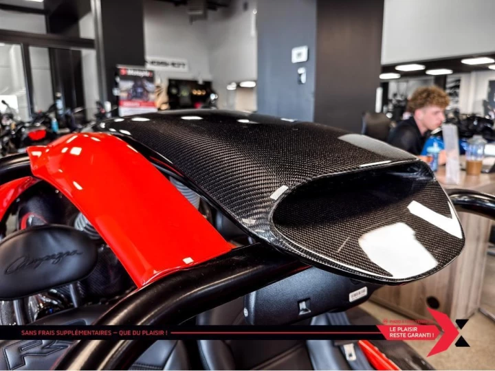 2024 campagna T-Rex 