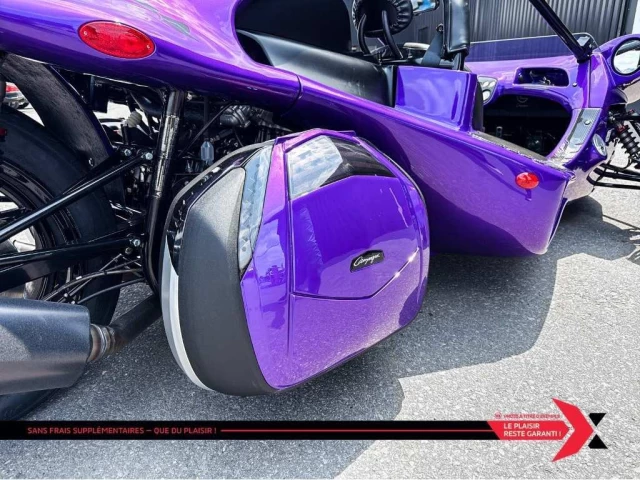 campagna T-Rex  2025