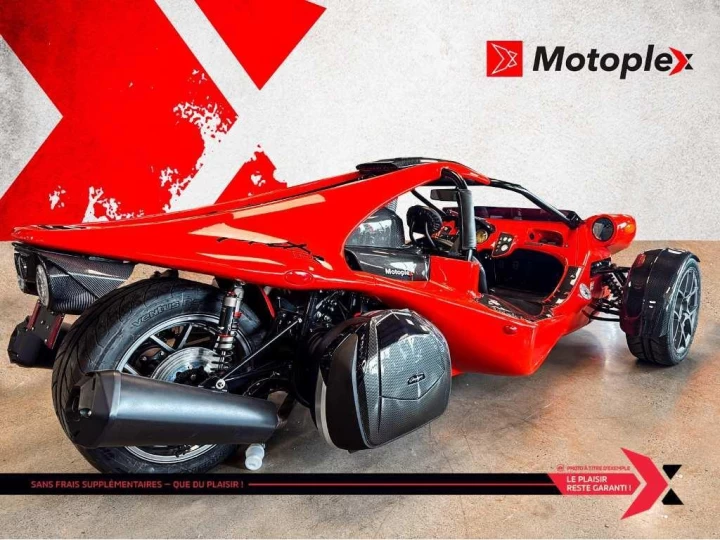 2024 campagna T-Rex 