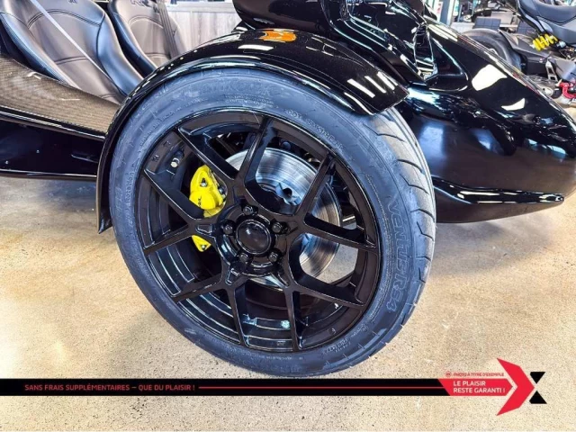 campagna T-Rex  2025