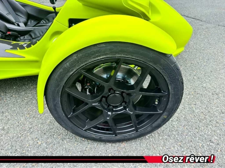 2025 campagna T-REX RR 