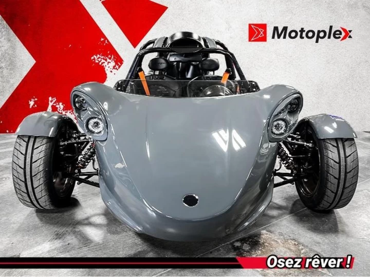 2025 campagna T-Rex 