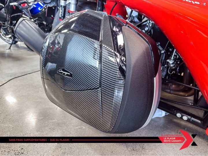 2024 campagna T-Rex 