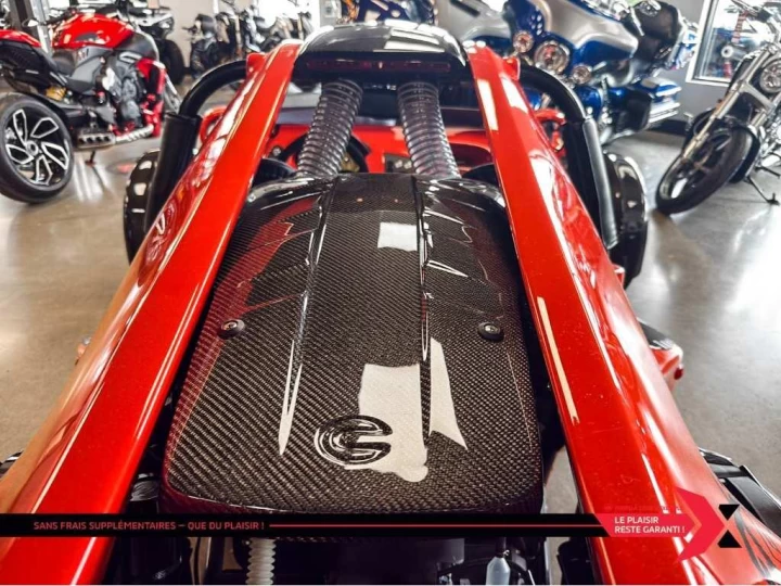 2024 campagna T-Rex 