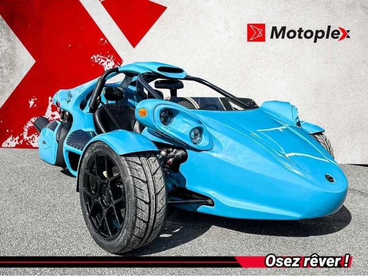 2025 campagna T-Rex 