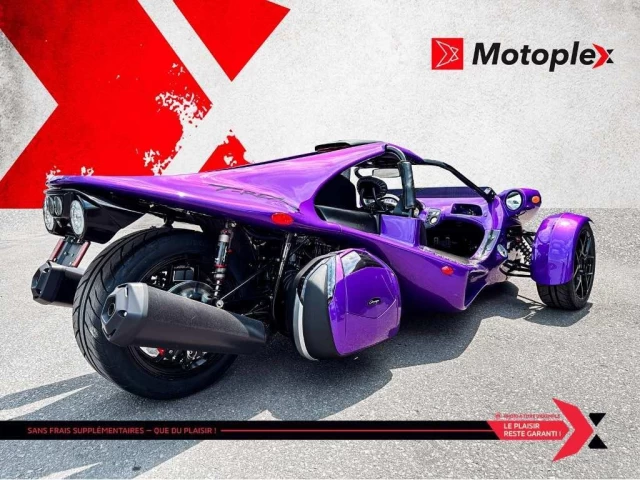 campagna T-Rex  2025