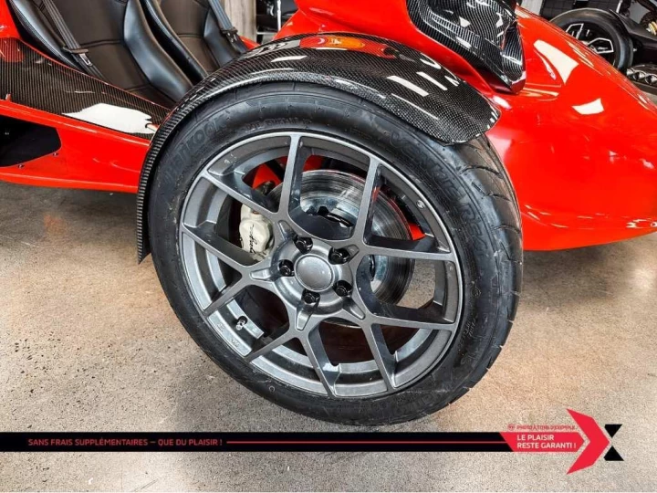 2024 campagna T-Rex 