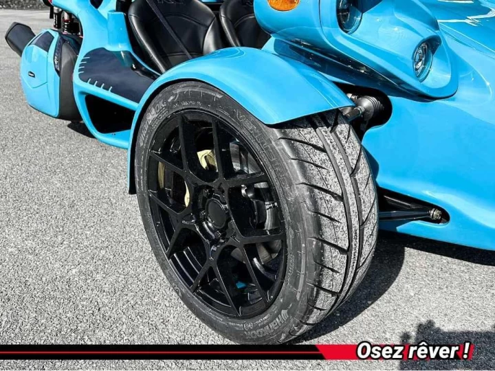 2025 campagna T-Rex 