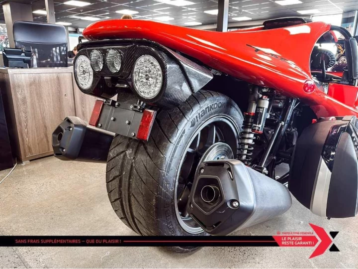 2024 campagna T-Rex 