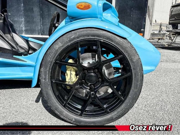 2025 campagna T-Rex 