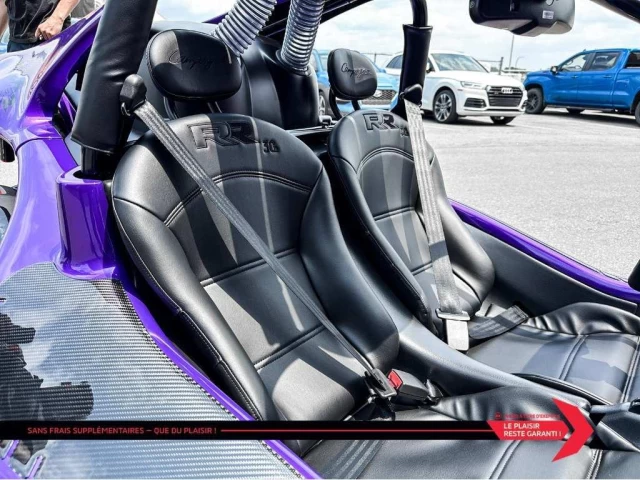 campagna T-Rex  2025