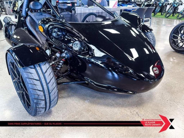 campagna T-Rex  2025