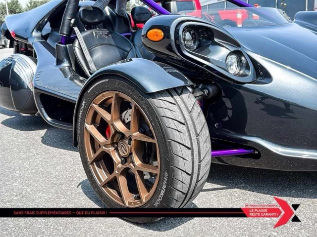 campagna TREX 14RR *CUSTOM PAINT*  2023