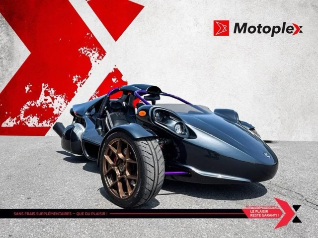 campagna TREX 14RR *CUSTOM PAINT*  2023