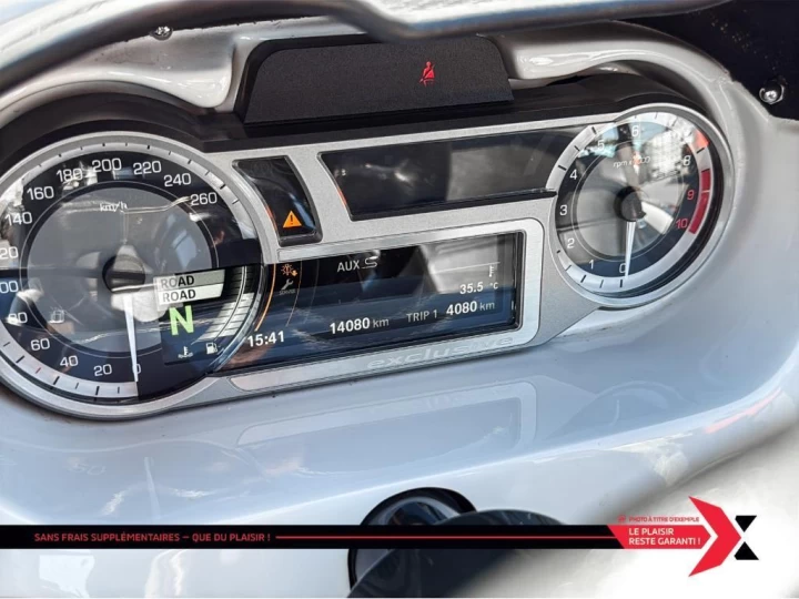 2017 campagna T-REX 16S 