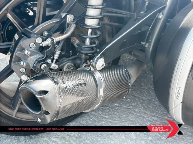 campagna T-REX 16S  2017