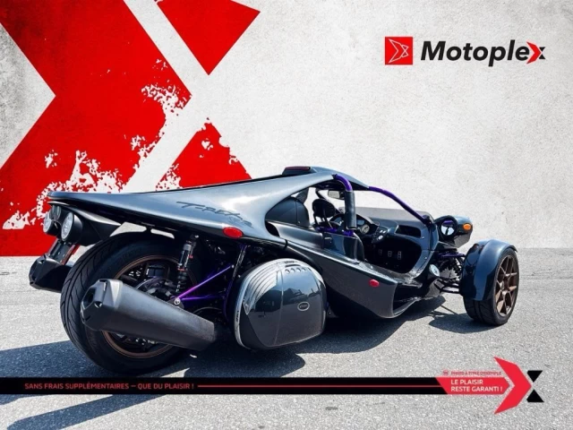 campagna TREX 14RR *CUSTOM PAINT*  2023