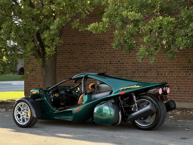 Campagna T-Rex RR 30th 2025