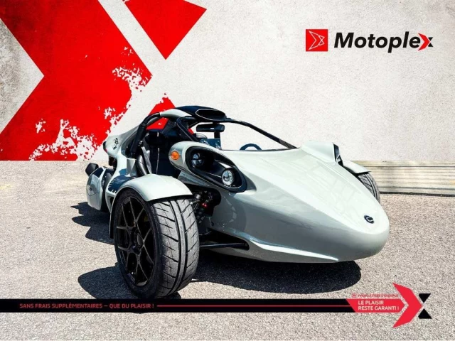 campagna T-Rex  2025