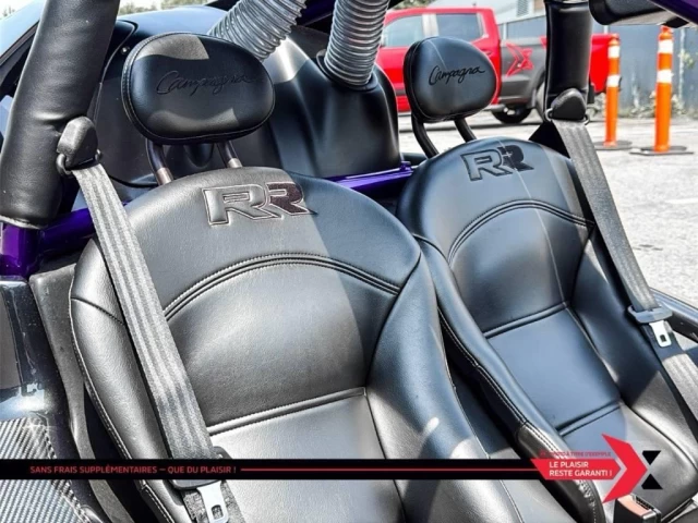 campagna TREX 14RR *CUSTOM PAINT*  2023