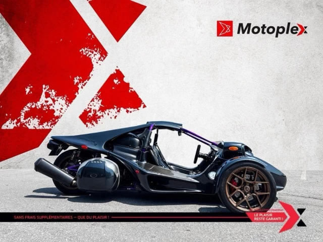 campagna TREX 14RR *CUSTOM PAINT*  2023
