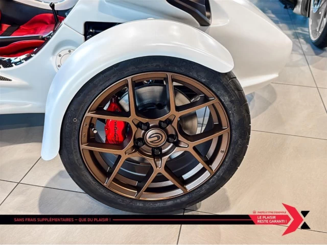 campagna T-Rex  2025