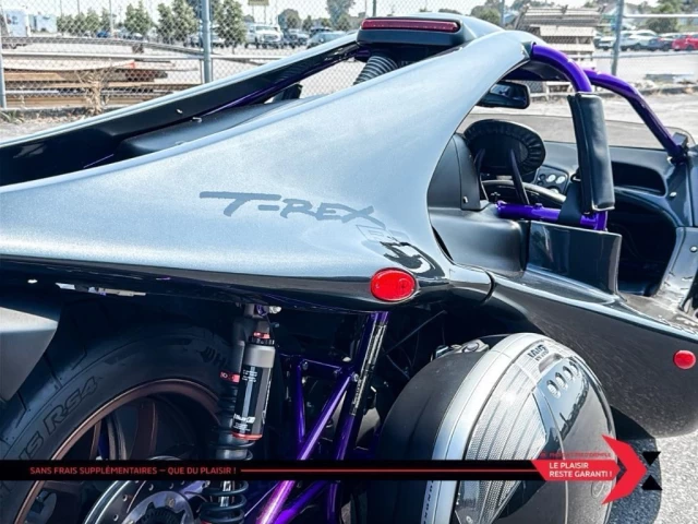 campagna TREX 14RR *CUSTOM PAINT*  2023