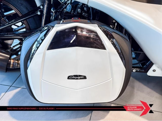 campagna T-Rex  2025